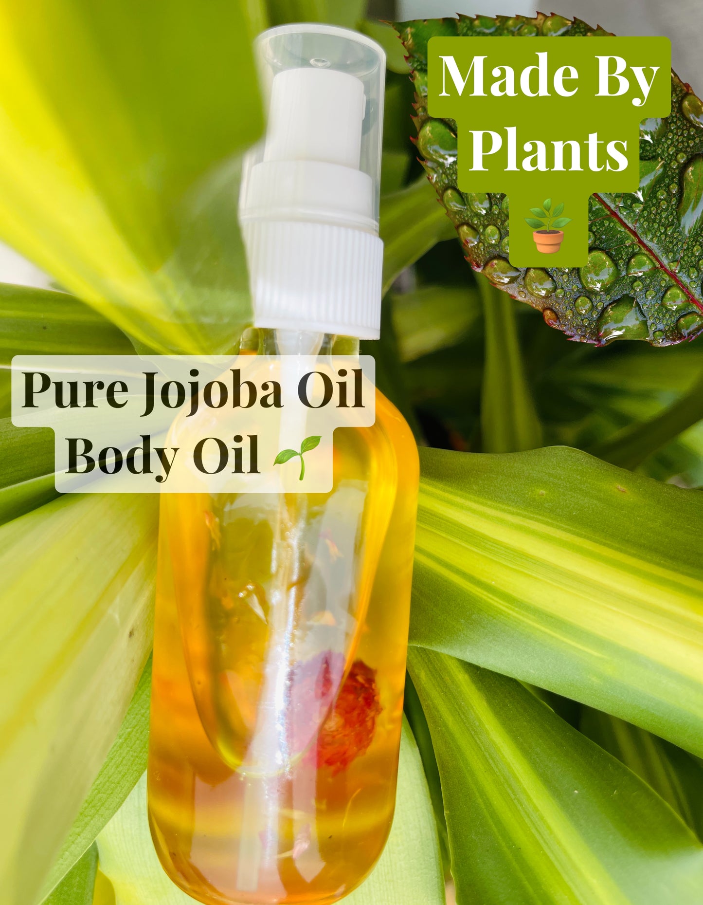 Pure Jojoba Body Oil