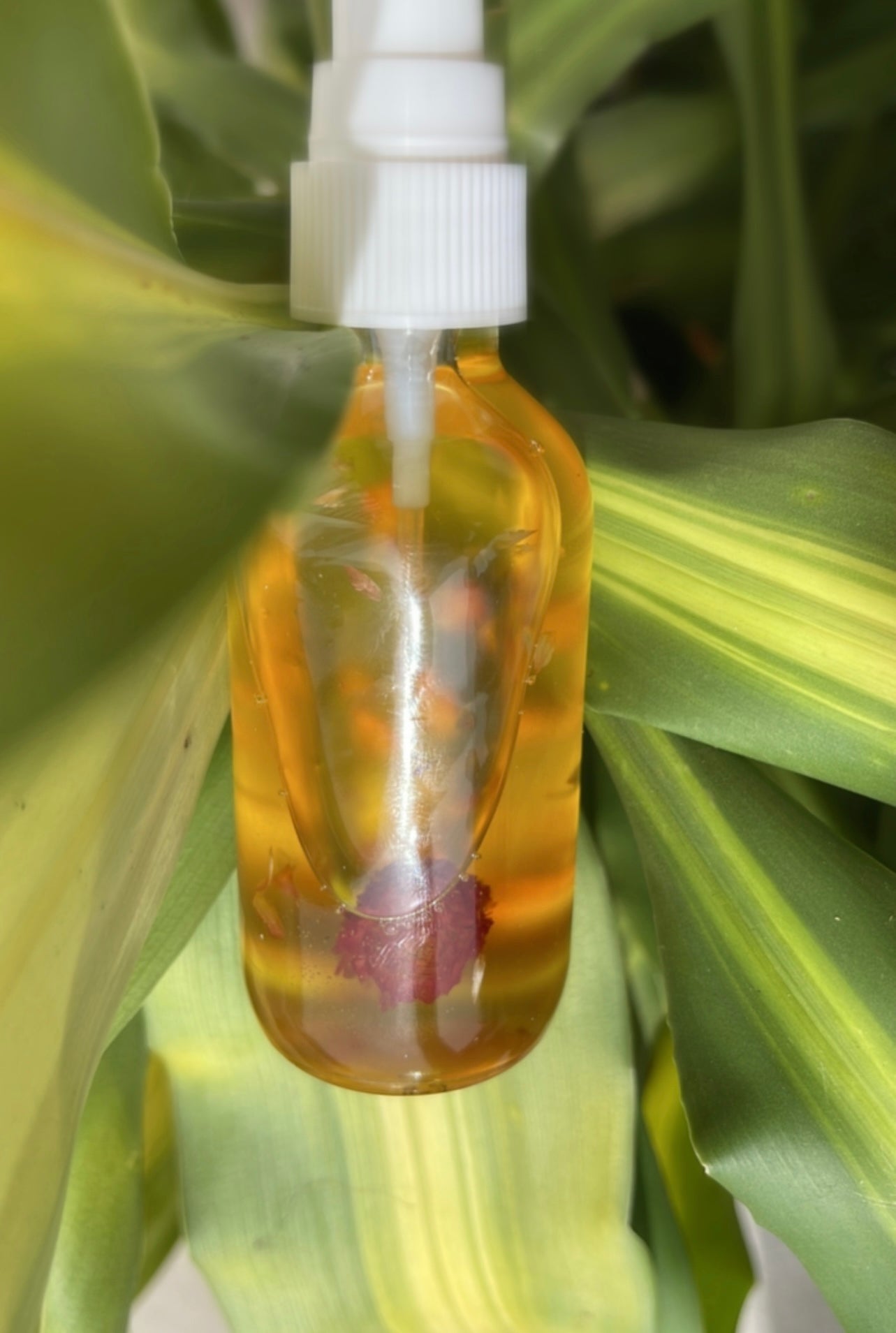 Pure Jojoba Body Oil